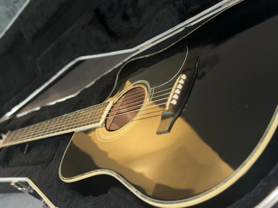 Guitarra Eléctrica Acústica Takamine Steve Wariner Edición Limitada Foto 2 de 4