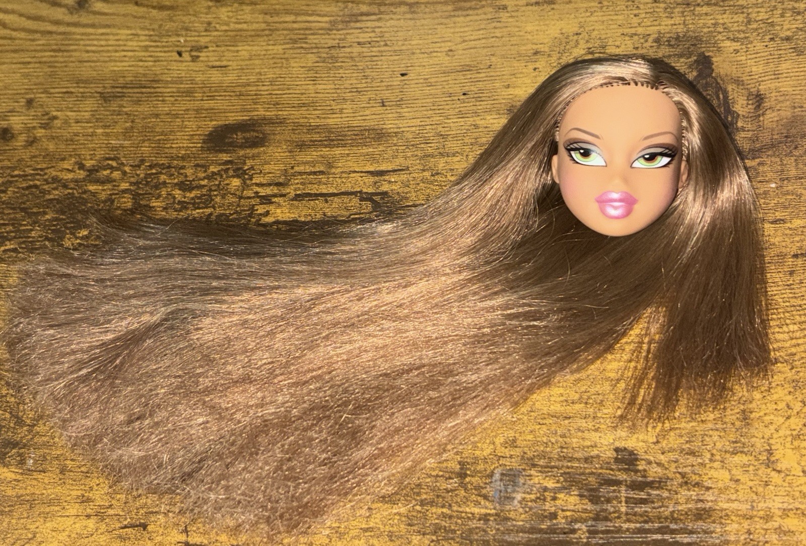 Bratz Magic Hair Fianna Passion 4 Fashion Destiny Rooting Sample Prototype
