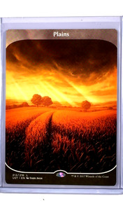Plains Unstable | eBay