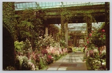 Longwood Gardens Azalea House Wilmington Delaware DE Postcard