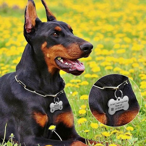 Personalized Dog Tags Engraved Cat Puppy Pet ID Name Collar Tag Bone/Paw Glitter - Picture 4 of 23
