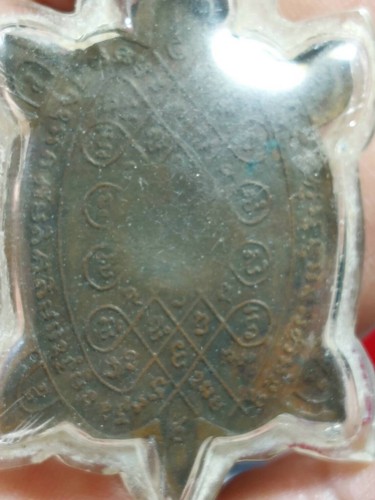 LP Liew Turtle Coin Thai Amulet Pendant Roon Plodnee Luck Wealth Charm Talisman - Picture 10 of 11