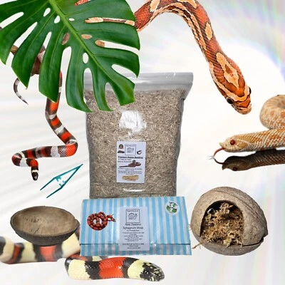 Snake Starter Pack, Great Juvenile Milk Snakes & Corn Snakes, Hognose, Eco-Pack