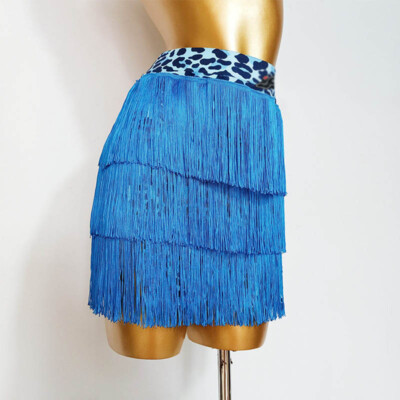 Latin Rumba Samba Salsa Fringes Standard Ballroom Cha Cha Practice Skirts Tango
