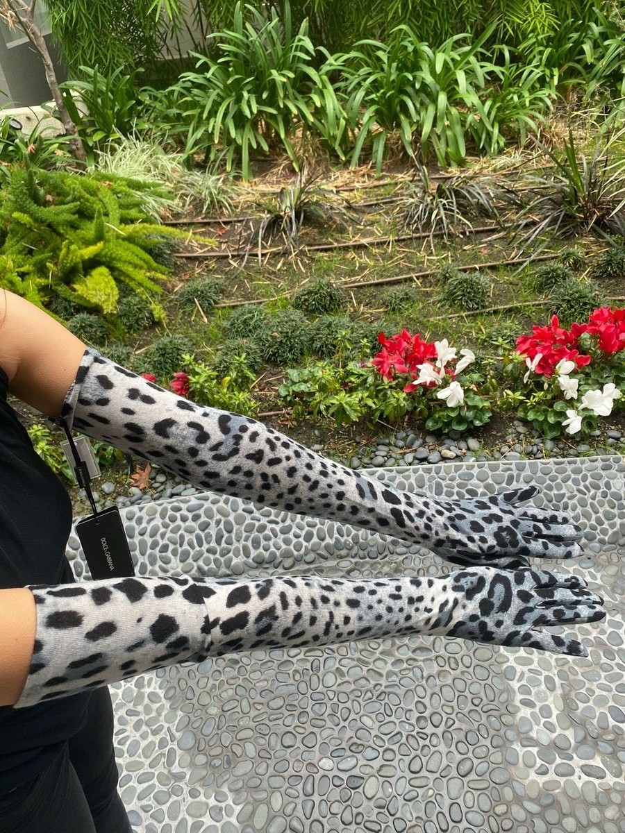 NWT DOLCE & GABBANA DG Blue/Grey Leopard Print Wool Long Gloves