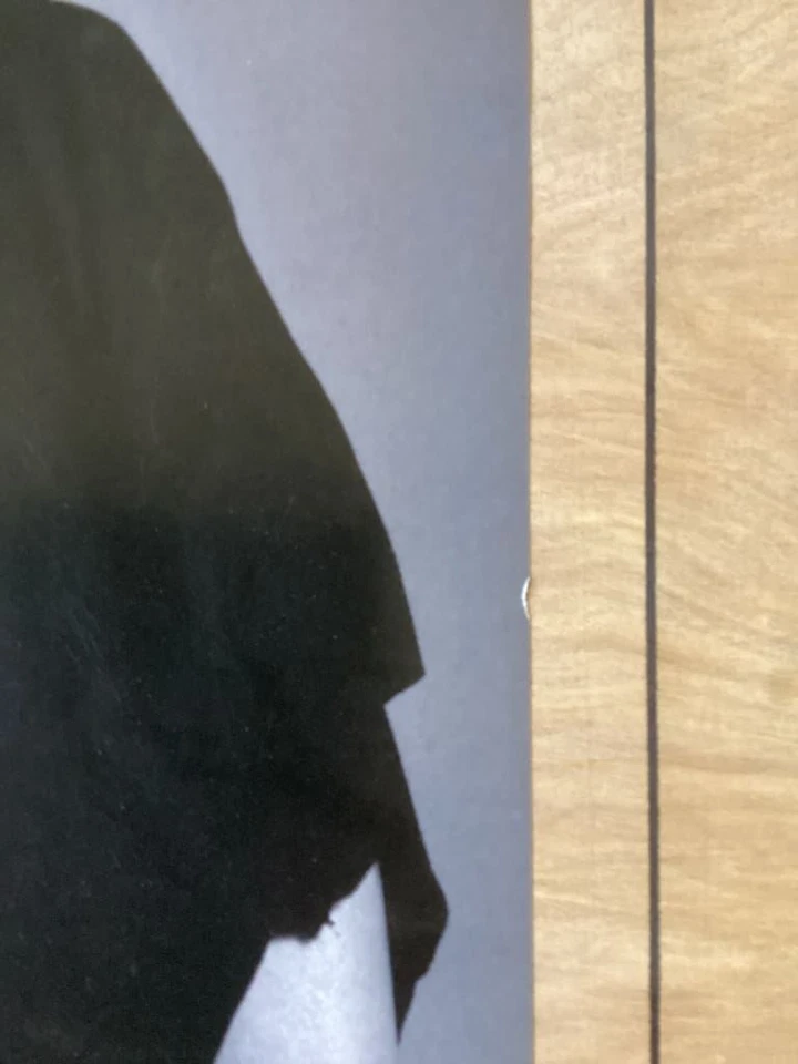 Póster oficial de Danica Patrick Indy Racing League 22,5 x 34 Foto 3 de 3