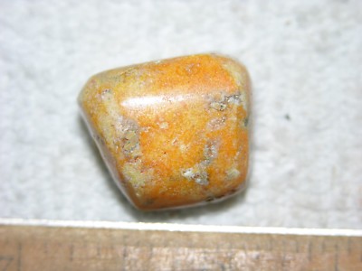 Bumble Bee Jasper all natural Indonesia polished .75 inch B78