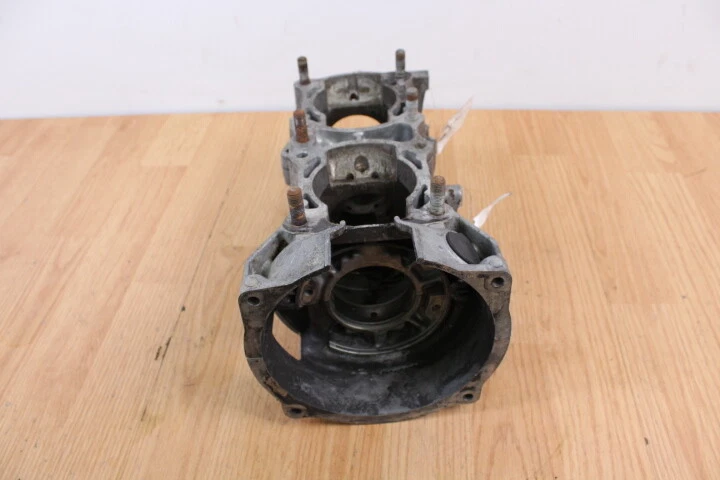 Polaris 500 EFI SKS 1994 cárteres/estuches de motor principal Foto 2 de 4