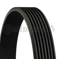 Continental Ctam 7PK1834 Keilrippenriemen FüR Nissan,Opel,Renault,Subaru,Opel