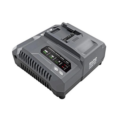 Flex 24V 280W Rapid Charger