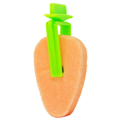 Pawise Nager Leckstein Play & Chew Salt Carrot 6x1cm für Kaninchen Hamster