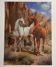 MARY HAGGARD PRINT ***COVER ONLY*** 2001 SCOTTSDALE ARABIAN HORSE SHOW PROGRAM