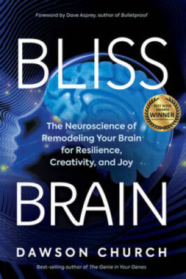 Bliss Brain: The Neuroscience of Remodeling Your Brain for Resilience, Cr - GOOD