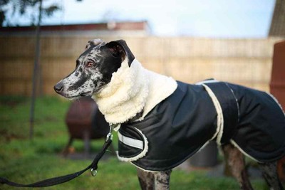 lurcher fleece