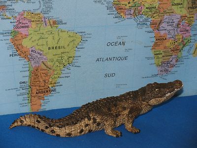 SCHLEICH CROCODILE WILD ANIMALS MODEL 14736 ***BRAND NEW & VHTF***