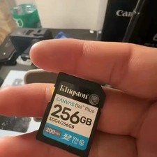Kingston Canvas Go Plus 256GB SD Card for Camera Official