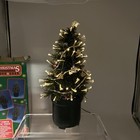 Picture 10 of 10