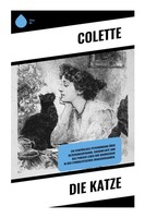 Die Katze Colette Taschenbuch 64 S. Deutsch 2025 Copycat EAN 9788028395803