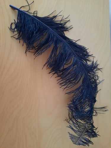 Red Feather Boa Vintage 2m & Black Feather - Picture 13 of 15