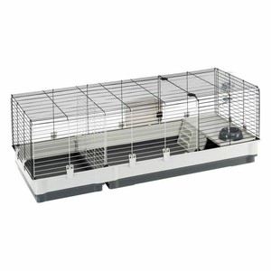 guinea pig accessories ebay