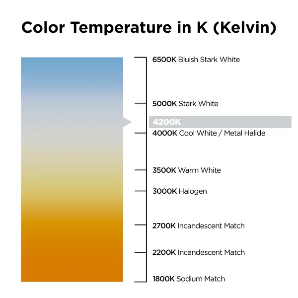 100 piezas - 12 pulgadas 4200K Blanco Frío - Cinta de Luz LED - Regulable - 12 Voltios Foto 3 de 3