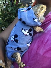 MINNIEMOUSE PRINT 10 XLRG SLEEVELESS BODY HOODIE SHIRT 4 UNISEX BEARDED DRAGON