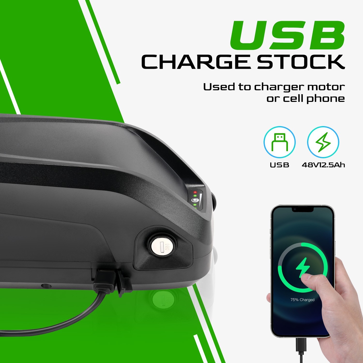 Hailong 48V 15Ah Ebike Battery for 200W-1500W Electric Bike Lithium Battery 30A