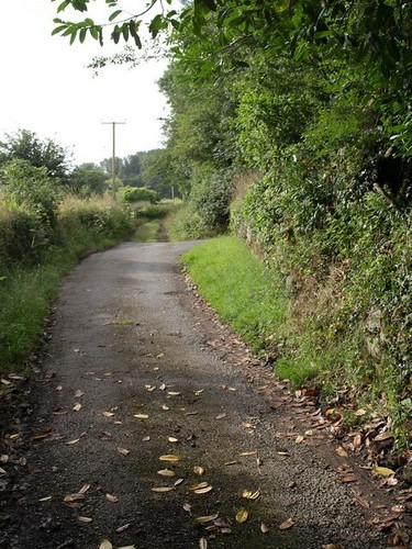 Photo 6x4 Erme-Plym Trail at Yeo Farm Ivybridge The tarmac drive is about c2009 - 第 1/1 張圖片