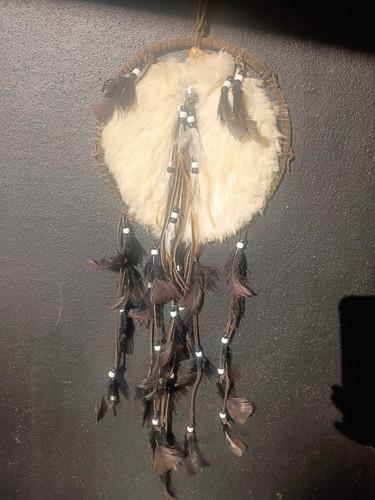Native American Style Dream Catcher
