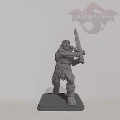 Barbarian - Heroquest Inspired, Dungeons and Dragons, 5e, Pathfinder - Miniatur