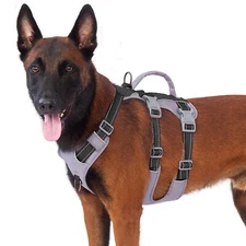 Reflective Dog Harness with Handle, Escape Proof, No Slip, Breathab... Fast Ship