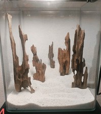 Dragonwood Set 4-6 zuf&auml;llig ausgew&auml;hlte St&uuml;cke Aquarium Scaping Nano Spiderwood