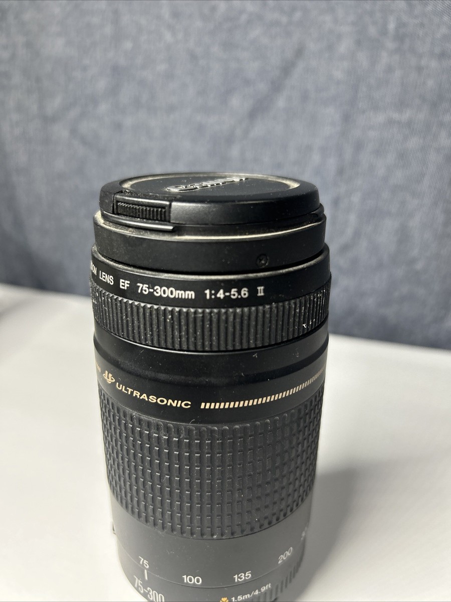 Canon 75-300mm EF Lens II USM f⁄4-5.6 Zoom : f4-5.6 - III F4-5.6