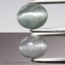  on The Hot Collector