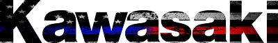 KAWASAKI TERYX T4 TAILGATE LETTERS 4 SEATER DECAL THIN BLUE RED LINE FLAG GLOSS