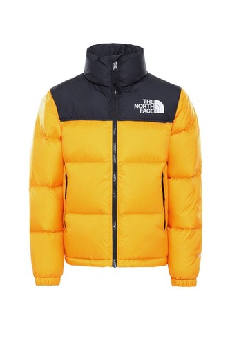 black and gold north face vest