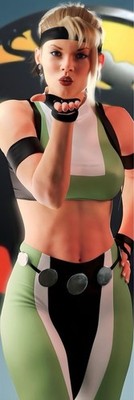 MORTAL KOMBAT GIANT 2 X6  VINYL BANNER - SONYA BLADE