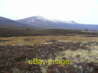Photo 6x4 Ben Rinnes viewed from the north-east Benrinnes Wood Across the c2008