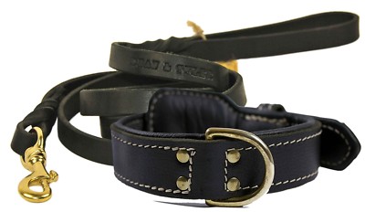 Dean & Tyler 22  Premium Padded Leather Dog Collar + Leash Medium Black Brass