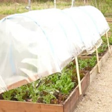 Plant Polythene Cover for raised bed 9ft x 16'4ft protecting crops UV stable