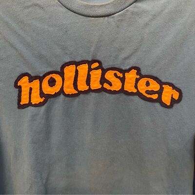 Vintage HOLLISTER Blue Long Sleeve Top Size Large-Fits Small | eBay