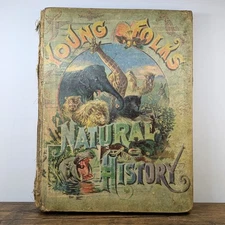 Antique Book - c. 1880s "Young Folks Natural History" Illustrated, Hurst & Co.