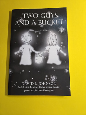 Two Guys and a Bucket by David L. Johnson (2018, Trade Paperback)