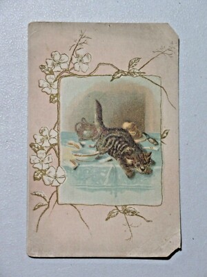 Blank Victorian Trade Card Mischievous Kitten Breaking Dishes Spilling Milk 8444