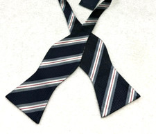 DANIEL CREMIEUX Men's Bow Tie 100 Silk Adjustable Blue Stripe NWT 39.50