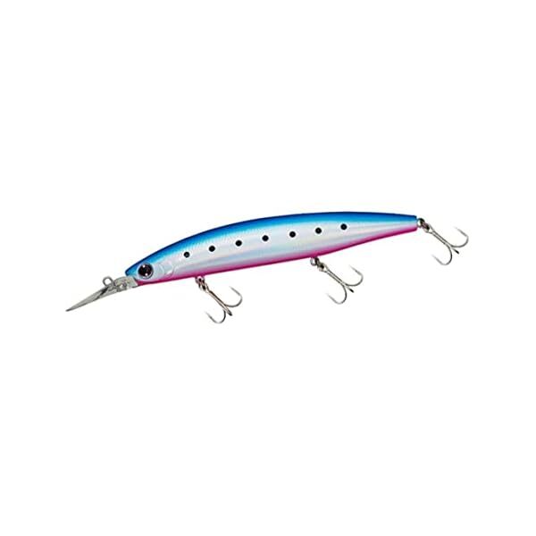 Daiwa Shoreline Shiner Z Set Upper 145S-Dr Bourpin Isashi Lure Official Japan