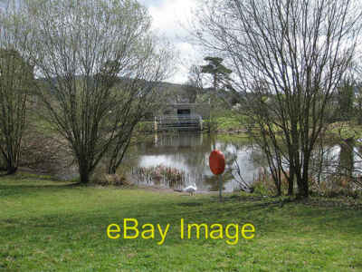 Photo 6x4 Pond west of the River Monnow Monmouth With very aggressive goo c2009