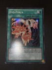 Foto 2 di 4