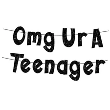 Omg Ur a Teenager Banner,Pre-Str