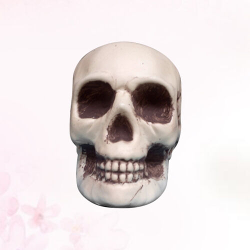 3pcs Plastic Skull Head Skull Head Skeleton Head Plastic Skull Sculpture - Afbeelding 1 van 12